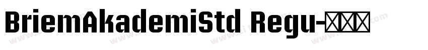 BriemAkademiStd Regu字体转换